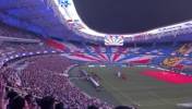 超震撼！申花赛前打出巨型Tifo