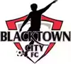 黑镇市足球俱乐部